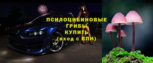 2c-b Инсар