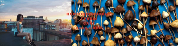 кокс Иннополис
