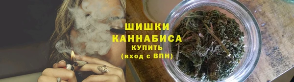 2c-b Инсар