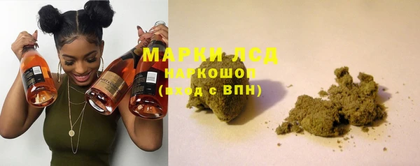 2c-b Инсар