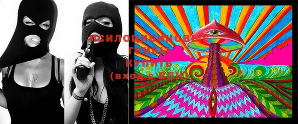 2c-b Инсар