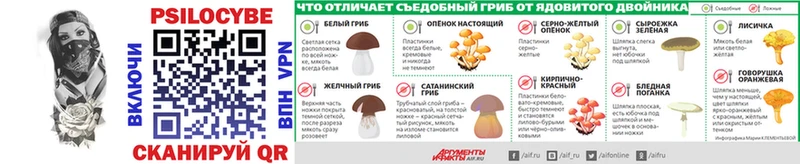 где купить наркотик  Калуга  Галлюциногенные грибы Psilocybe 