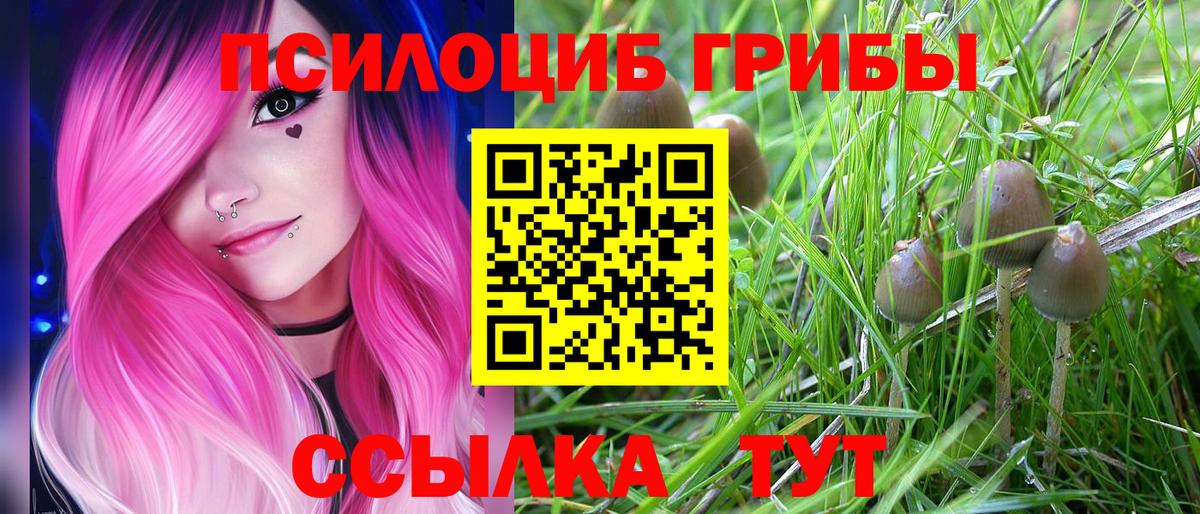 Калуга  Галлюциногенные грибы прущие грибы  Вход с VPN 