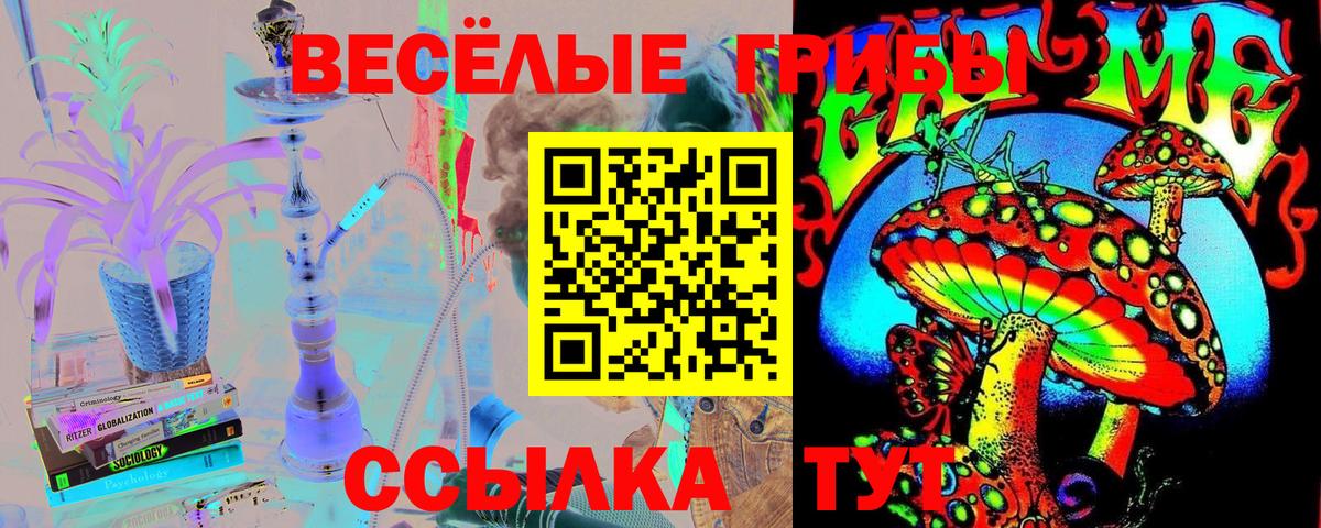 Галлюциногенные грибы Psilocybine cubensis Калуга